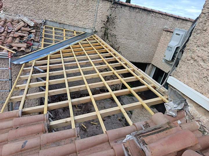 PHOTO 2026 03 04 22 53 56 (1)