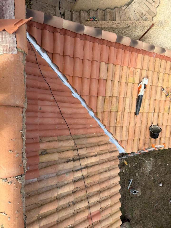 PHOTO 2026 03 04 22 53 56 (3)