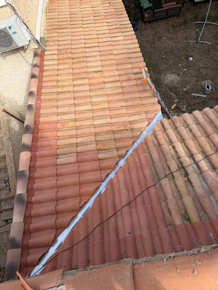 PHOTO 2026 03 04 22 53 56 (4)