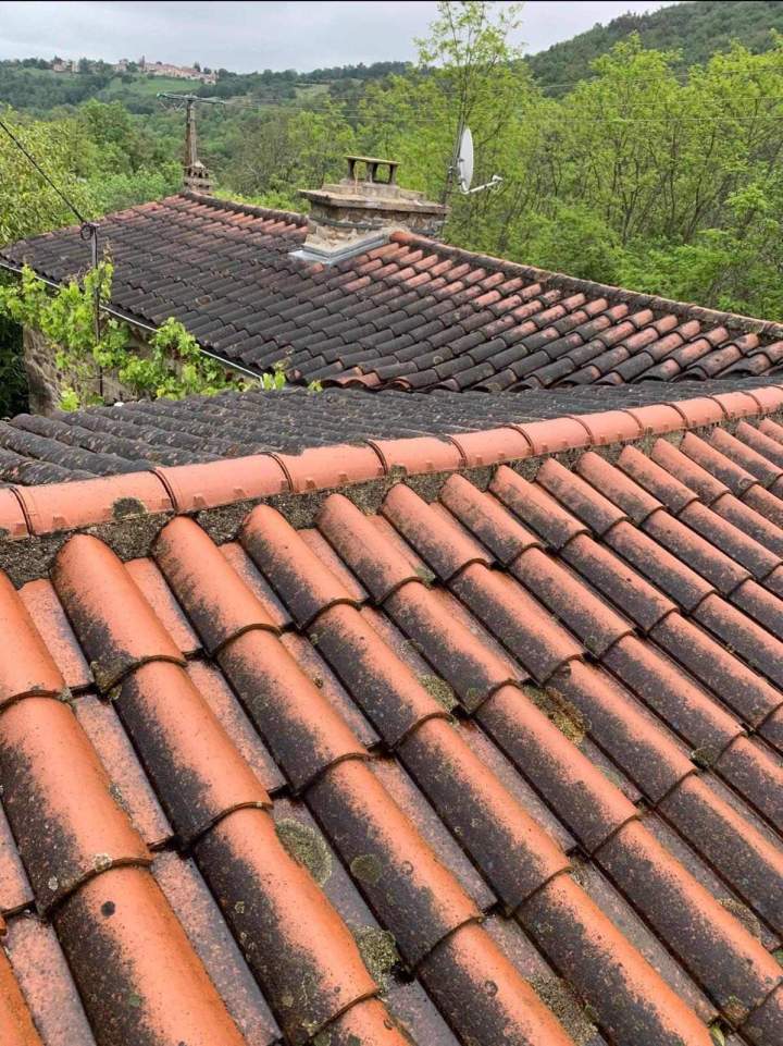 Tuiles terre cuite à démousser Montpellier